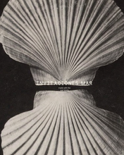 Cargar imagen en el visor de la galería, Set invitaciones Mar | Papel Artesanal
